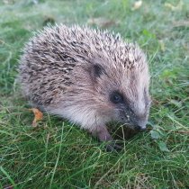 02-02-20220711_211956_small